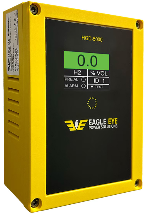 HGD-5000 Hydrogen Gas Detector