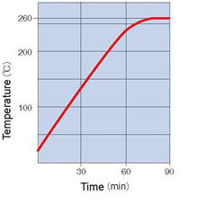 Yamato DVS Oven Temperature Rising Curve