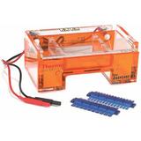 Gel Electrophoresis Equipment & Supplies