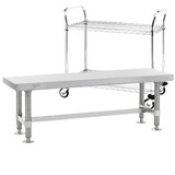 Cleanroom Benches & Carts