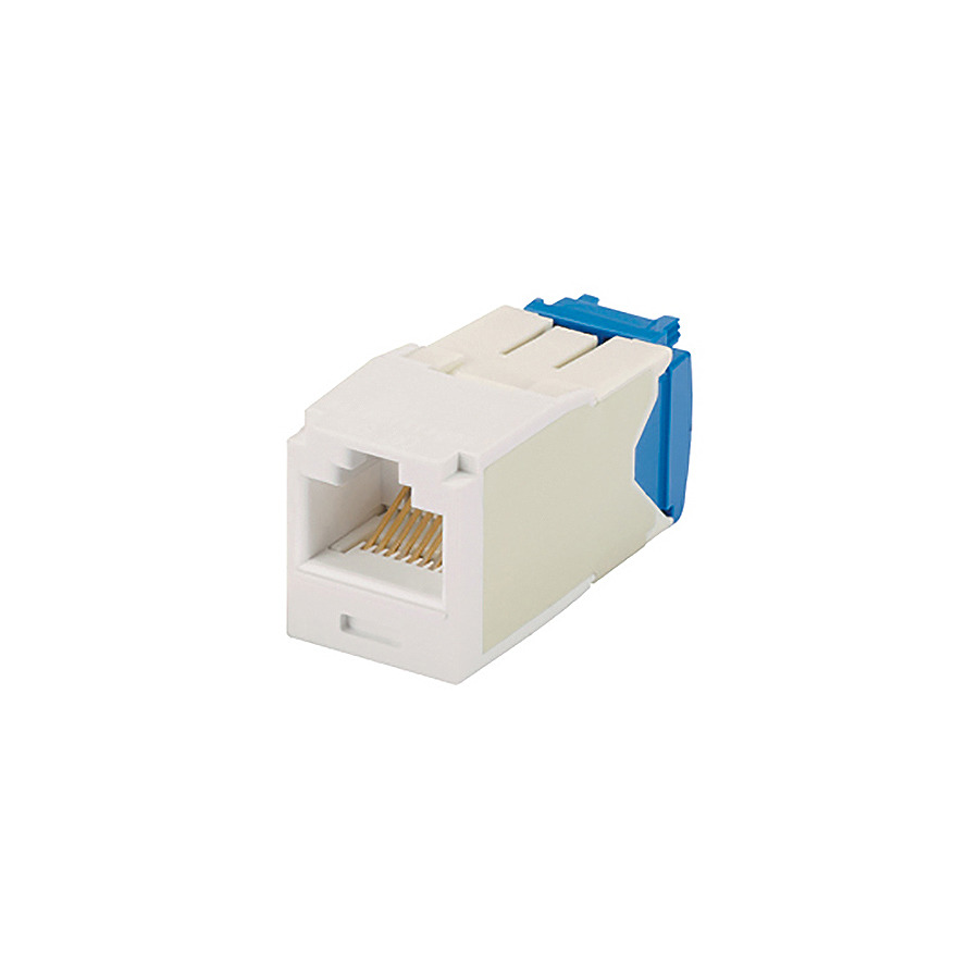 キャサリン Cat 6 E-Z Jack Module, Blue | Allen Tel Products, Inc.