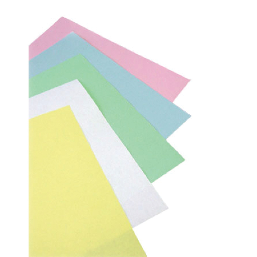 CleanTeam 100-95-501G Critical Environment Antistatic Paper, Green, 8-1/2"x11",250/Pk|10/Cs