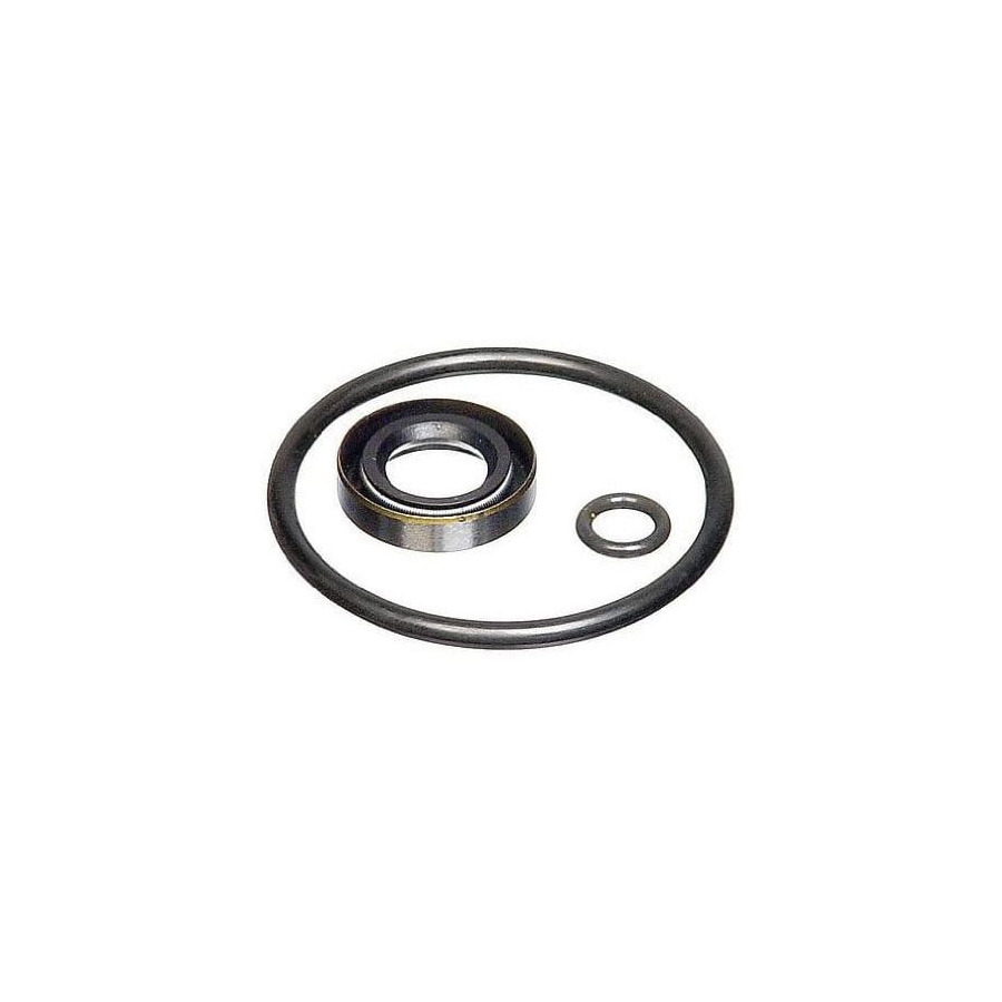 Fluke P3010SK Seal Kit, P3010 Series