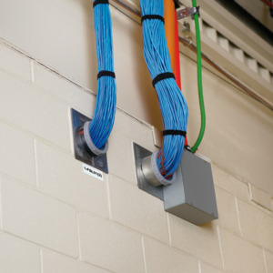 Panduit C100X050APT