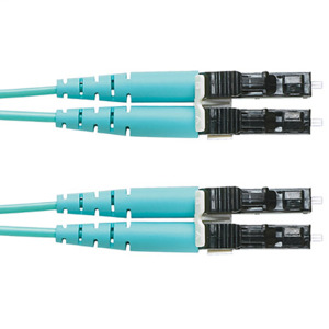 Panduit FZ2ERLNLNSNM002