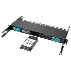 Tripp Lite N482-2M24-6M12