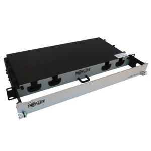 Tripp Lite N48S-2L24L-10