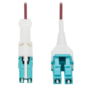 Tripp Lite N822L-10M-MG