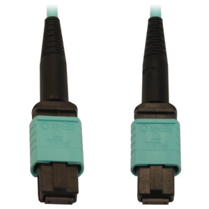 Tripp Lite N844B-10M-12-P