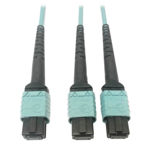 Tripp Lite N846D-01M-24BAQ