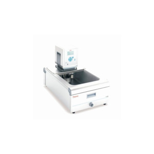 Thermo Scientific 1551498