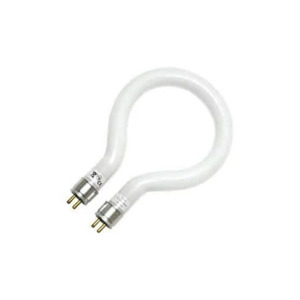 Magnification & Lighting
