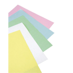 cleanteam 100-95-501g redirect to product page