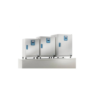Thermo Scientific 51028063
