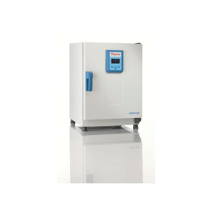 Thermo Scientific 51028874