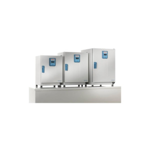 Thermo Scientific 51029321