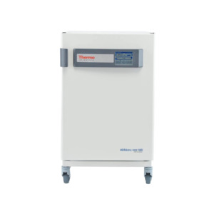 Thermo Scientific 51030405