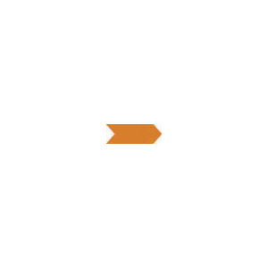 TestEquity: Techni-Pro 119-564 Inspection Arrows, Vinyl, 1/4