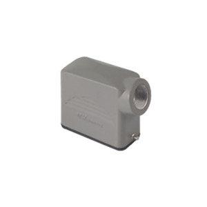 Molex