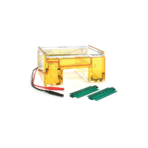 Thermo Scientific B3