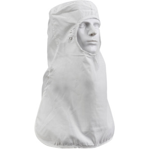 Cleanroom Face Masks & Hoods