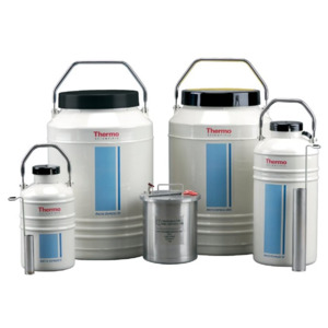 Thermo Scientific CK50922
