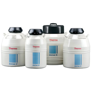 Thermo Scientific CK509X3