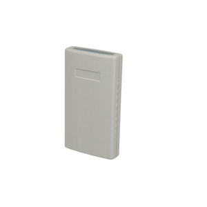 Bud Industries PI-1900-LG