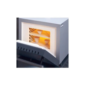 Thermo Scientific SH480X1