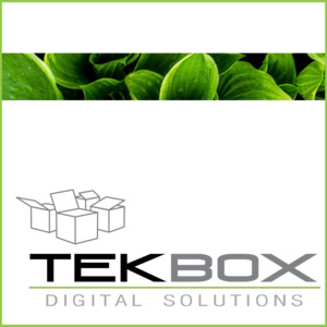 TekBox TBSP-08-Schuko
