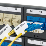 Panduit F100X150AJC