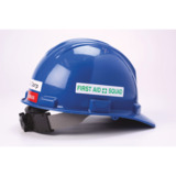 Brady 13516