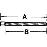 Machine Screws