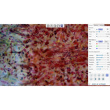 Aven 26800B-726