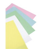 CleanTeam 100-95-501G