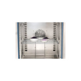 Thermo Scientific 51028873