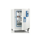 Thermo Scientific 51029327