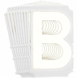Brady 175070