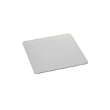 Thermo Scientific 75004117