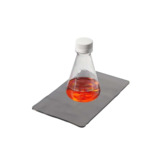 Thermo Scientific 75004126