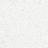 Statguard Flooring 8432-24X2.0