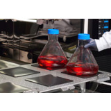 Thermo Scientific 88900001