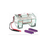 Thermo Scientific B1A-UVT