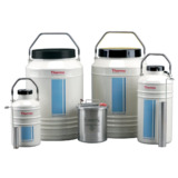 Thermo Scientific CK50922