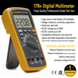 Fluke 17B+