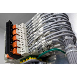 Brady PS-500-2-WT-S-2