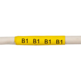 Brady THT-105-437-YL