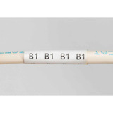 Brady THT-2-437-10
